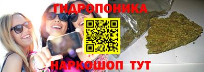 прущие крисы Лесосибирск