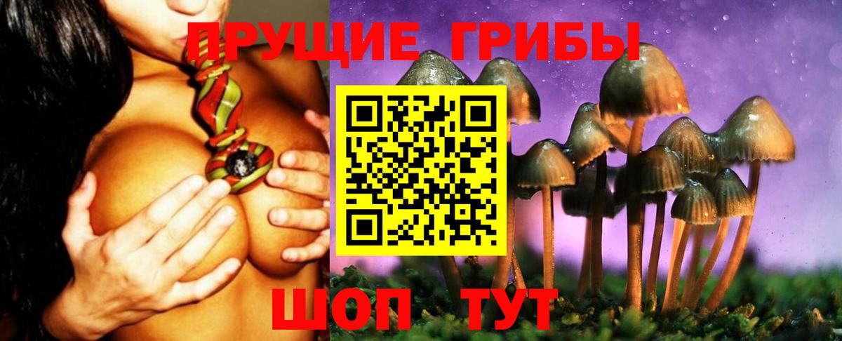 Псилоцибиновые грибы мухоморы Ухта